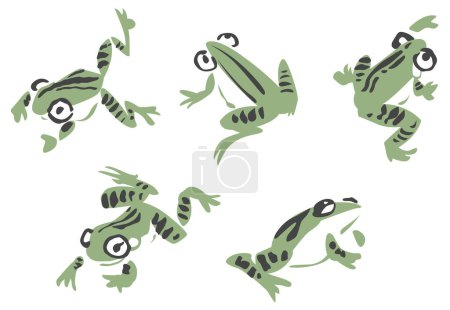 Illustration for Frogs, vector, illustration, white background - Royalty Free Image