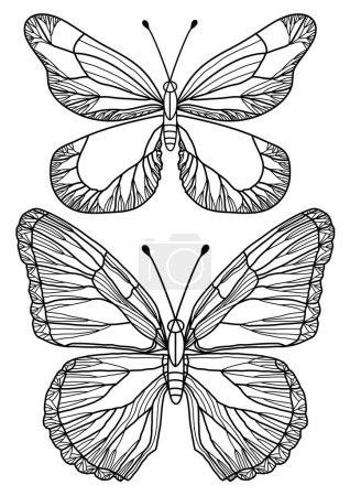 Téléchargez les illustrations : Ensemble de papillons dessinés à la main. Illustration vectorielle - en licence libre de droit