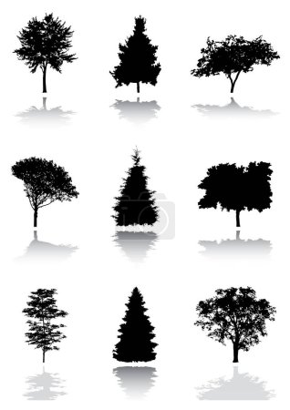 Téléchargez les illustrations : Silhouette vectorielle des arbres. - en licence libre de droit