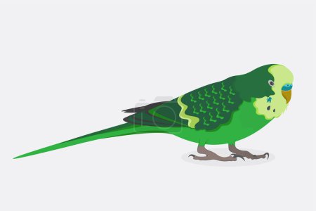 Ilustración de Vector ilustración de un lindo loro guacamayo verde de dibujos animados - Imagen libre de derechos