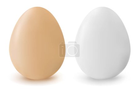 Illustration for White eggs on a white background - Royalty Free Image