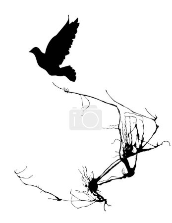 Illustration for Black and white vector background. birds - Royalty Free Image