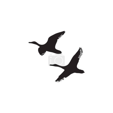 Illustration for Vector silhouette of birds on white - Royalty Free Image