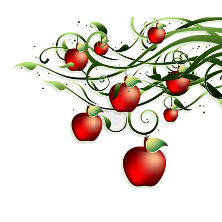 Illustration for Vector illustration of a branch of a tree with apples - Royalty Free Image