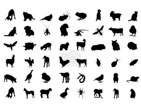 Téléchargez les illustrations : Silhouettes vectorielles des animaux, dessin de contour - en licence libre de droit