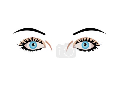 Illustration for Vector illustration of human eyes - Royalty Free Image