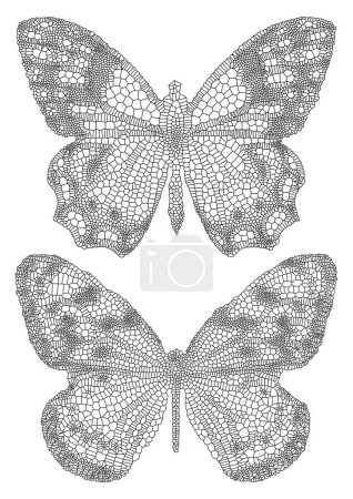 Illustration for Vector butterfly black and white illustration line art - Royalty Free Image