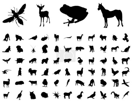 Ilustración de Conjunto vectorial de siluetas de animales salvajes, ilustración vectorial - Imagen libre de derechos