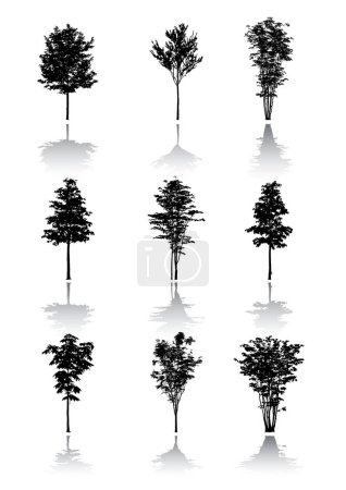 Téléchargez les illustrations : Ensemble de silhouettes d'arbres noirs, illustration vectorielle - en licence libre de droit