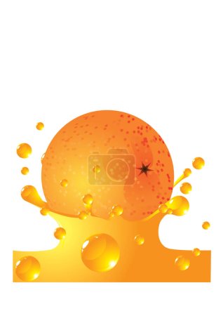 Téléchargez les illustrations : Illustration vectorielle d'éclaboussure de jus d'orange - en licence libre de droit