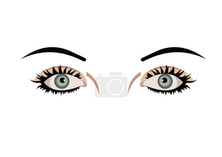 Illustration for Female eyes. vector illustration. - Royalty Free Image