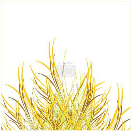 Illustration for Golden grass isolated on white background - Royalty Free Image
