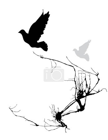 Illustration for Silhouette of a pigeon and a bird - Royalty Free Image