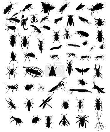 Illustration for Set of insects and bugs - Royalty Free Image