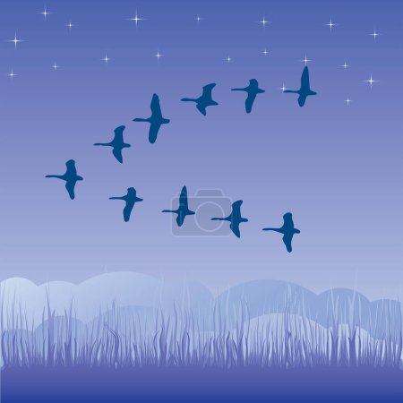 Téléchargez les illustrations : Oiseaux volant au-dessus du ciel étoilé - en licence libre de droit
