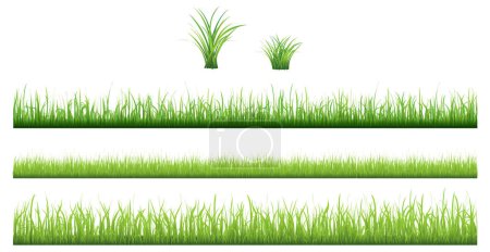 Ilustración de Conjunto de hierba verde aislado sobre fondo blanco - Imagen libre de derechos