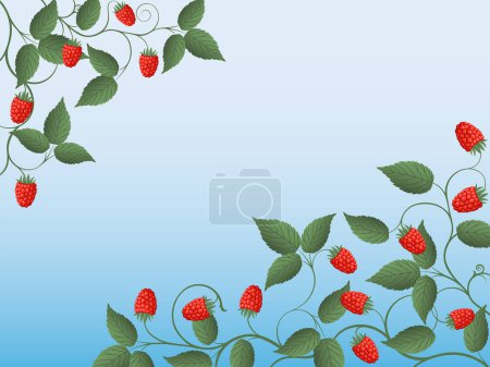 Téléchargez les illustrations : Illustration vectorielle du groseille rouge. - en licence libre de droit