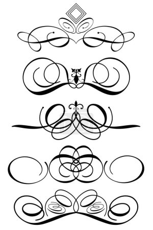 Illustration for Vector floral design elements - Royalty Free Image