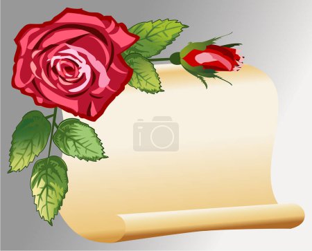 Illustration for Illustration of red roses on the scroll background - Royalty Free Image