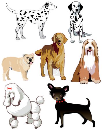 Illustration for Vector Illustration of 7 dogs or puppies isolated. - Royalty Free Image