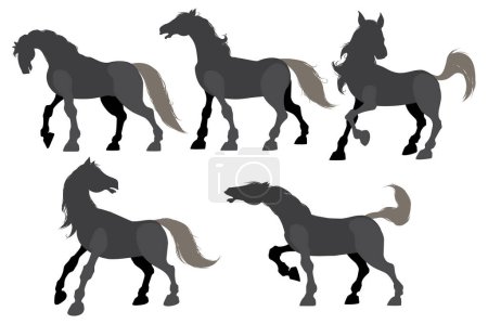 Téléchargez les illustrations : Silhouettes de chevaux noirs isolés sur fond blanc, illustration vectorielle - en licence libre de droit