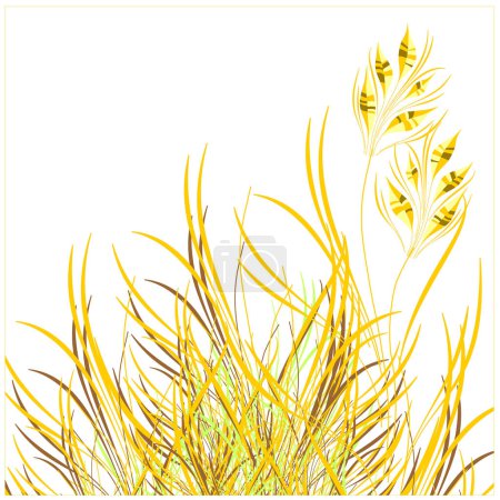 Ilustración de Hierba dorada aislada sobre fondo blanco - Imagen libre de derechos