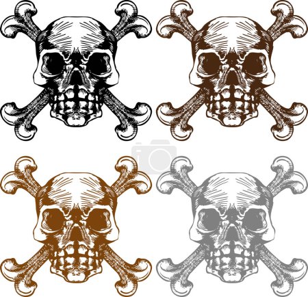 Illustration for Skull, crossbones vector illustration - Royalty Free Image