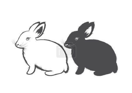 Ilustración de Lindo conejo blanco y negro, conejo y otro animal aislado sobre fondo blanco. ilustración vectorial de un conejo. contorno de conejo dibujado a mano. - Imagen libre de derechos