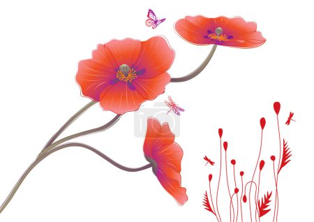 Téléchargez les illustrations : Fleur vectorielle fleurs de pavot rouge isolé sur fond blanc. - en licence libre de droit