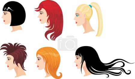 Ilustración de Vector conjunto de mujer 's pelo - Imagen libre de derechos