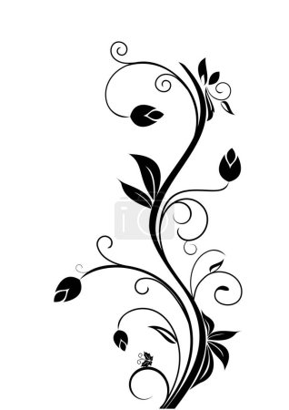 Illustration for Vector floral design element - Royalty Free Image