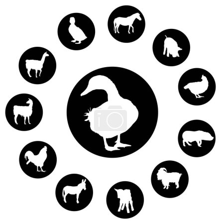 Téléchargez les illustrations : Ensemble d'icône de mouton. illustration vectorielle eps - en licence libre de droit