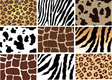 Illustration for Set of leopard skin seamless pattern. - Royalty Free Image
