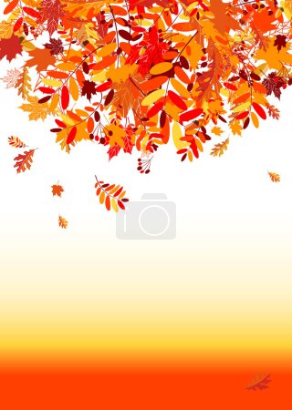Illustration for Autumn leaves fall. vector illustration - Royalty Free Image