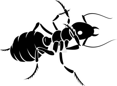Illustration for Ant icon vector illustration - Royalty Free Image