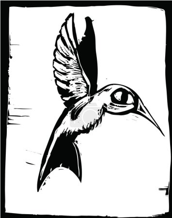 Téléchargez les illustrations : Oiseau noir et blanc avec dessin avec stylo isolé sur fond blanc. - en licence libre de droit