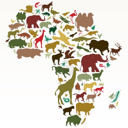 Téléchargez les illustrations : Ensemble vectoriel d'animaux africains en conception plate - en licence libre de droit