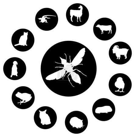 Illustration for Vector set of insects and animals silhouettes. - Royalty Free Image