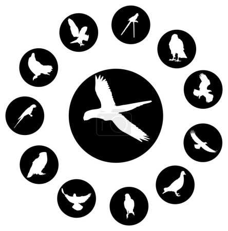 Téléchargez les illustrations : Ensemble vectoriel d'oiseaux - en licence libre de droit