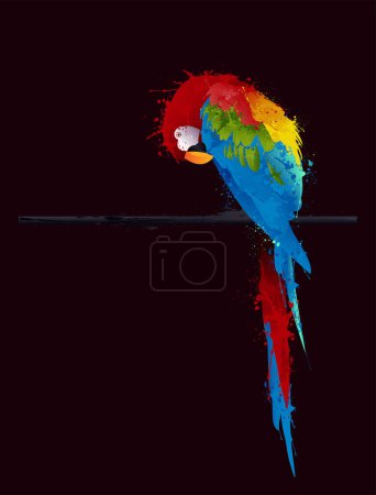 Illustration for Parrot on a black background - Royalty Free Image