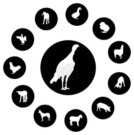 Téléchargez les illustrations : Ensemble de silhouettes noires avec différents animaux sur fond blanc - en licence libre de droit