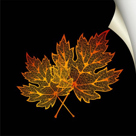 Illustration for Vector illustration of leaves - Royalty Free Image