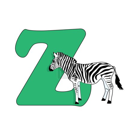 Illustration for Zebra letter z logo - Royalty Free Image