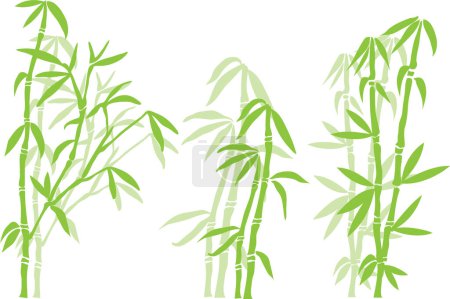 bambusowa roślina wektor ilustracja