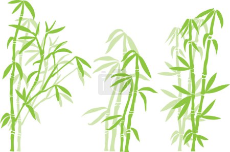 Téléchargez les illustrations : Illustration vectorielle de plante de bambou - en licence libre de droit