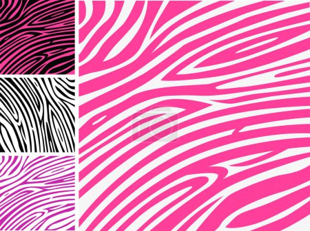 Illustration for Set of zebra patterns. vector illustration. - Royalty Free Image