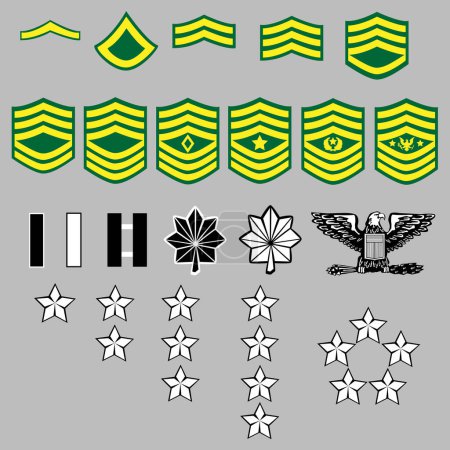 Ilustración de Conjunto de insignias y etiquetas militares - Imagen libre de derechos