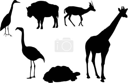 Illustration for Vector set of silhouettes of wild african animals - Royalty Free Image