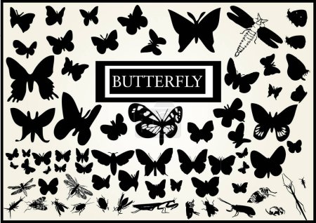 Téléchargez les illustrations : Vecteur papillons illustration sur fond blanc - en licence libre de droit