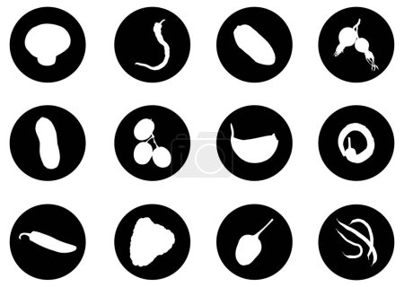 Téléchargez les illustrations : Ensemble de silhouettes noires avec différents types d'aliments - en licence libre de droit